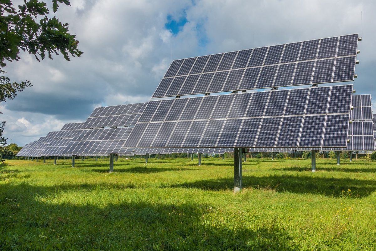 Locaux professionnels : pourquoi investir dans des panneaux solaires ?