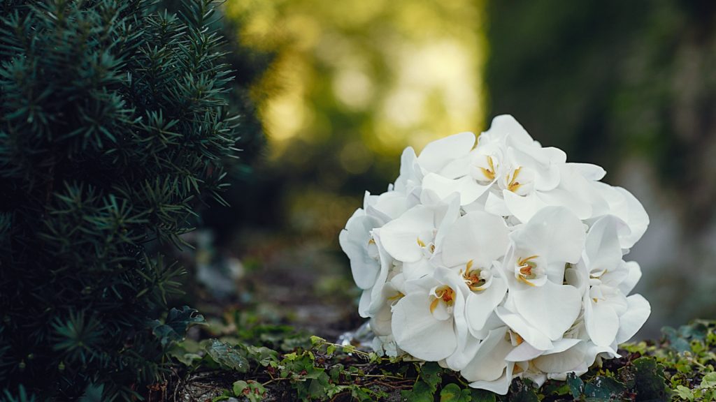 Hommage floral : l'impact émotionnel des fleurs en céramique